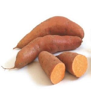 hot sale fresh  red   sweet  potato