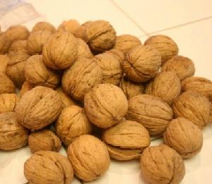 Walnut Kernels Suppliers/Dried Brown Walnuts For Sale At Reduced Prices