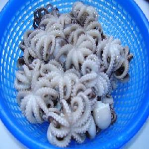 RAW  CUT   OCTOPUS  best wholesale and top quality only made in Vietnam