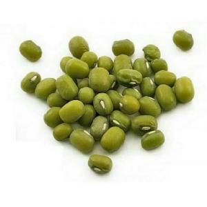 WHOLESALE PRICE Green Mung Beans / Dried Green Mung Beans suppliers
