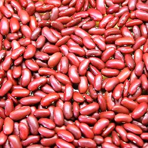 NEW CROP BEST QUALITY  BEAN S DRY PINTO  BEAN S  LIGHT   SPECKLED   KIDNEY   BEAN  FOR SALE