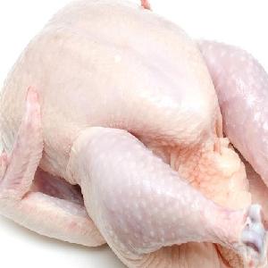 Frozen Halal Chicken Breast Skinless Boneless