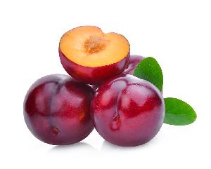 Good Top Quality Organic Fresh and Dried Black Plums