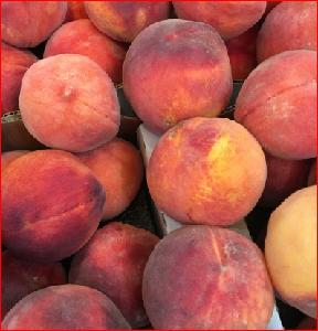 Quality Fresh Peaches for sale