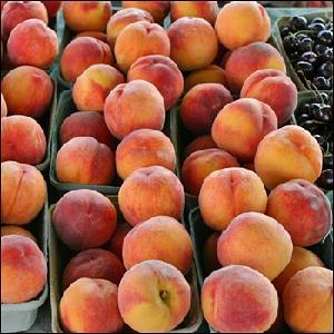Fresh Peaches/Delicious Peaches for sale