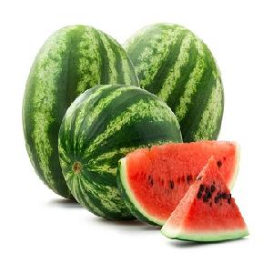 Fresh type Water melons/ Fresh Watermelon