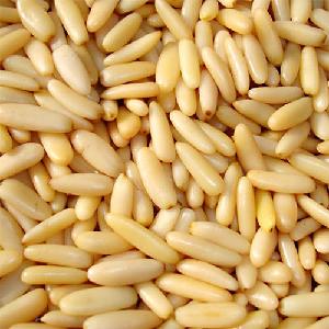 hot sale high quality custom made pine nuts