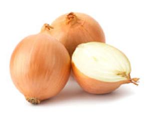 Fresh Yellow Onions for sale in low price