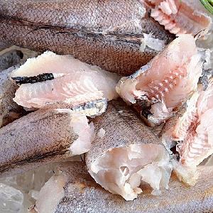 Frozen Pacific Hake Fillet