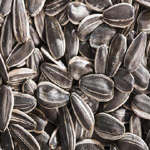 Shop Online Sunflower Seed, Private Label, Sun Flower Seed