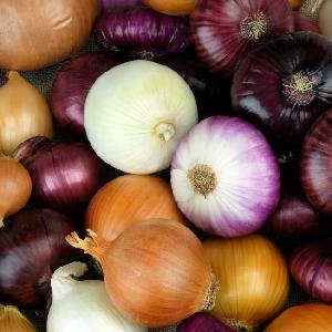 CHEAP high quality fresh yellow/red/white onion FOR SALE AT GOOD PRICES