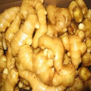 Air- dried and fresh Ginger in PVC
