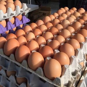 Best Brown and  White  FERTILE Chicken  Eggs /Fresh Fertile Chicken  Eggs   for sale FOR and  EXPORT 