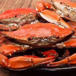 Wholesale Frozen King Crabs / Live King Crab / King Crab Legs from EUROPE