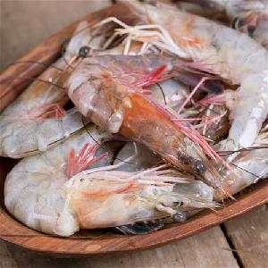 Black Tiger Shrimp Products Germany Black Tiger Shrimp Supplier