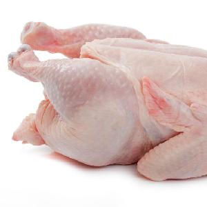 CHEAP  WHOLE     Sale !!! Brazilian HALAL  Frozen   WHOLE   Chicken  for  sale   and EXPORT CHEAP PRICE