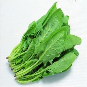 CHEAP WHOLE   Sale!Fresh Spinach/ New harvest 2019  Frozen Spinach  for sale  and EXPORT/ CHEAP PRICES