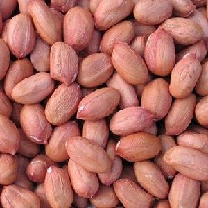 FOOD Use and in 25 kgs pp vacuum bag Packaging blanched peanut