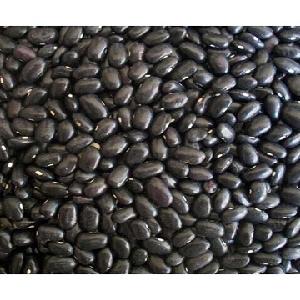 Origin natural dried bulk small black kidney beans turtle bean with low price