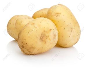 Organic  Farm   fresh   potato  in  Fresh   Potato  for Sale