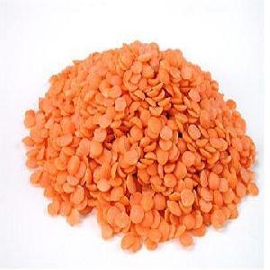 Premium Grade Split Red Lentils For Export in Bulk