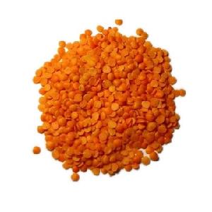 High quality Red Lentils/ Kidney beans at cheap prices