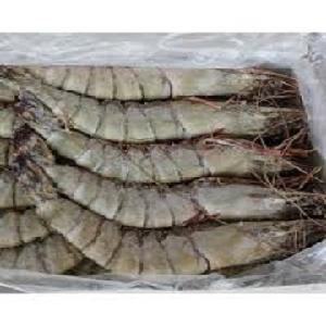 Branded Black Tiger Shrimps Whole Fresh And Organic Quality Hilton Food Germany Price Supplier 21food