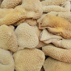 Cleaned frozen Beef Tripe