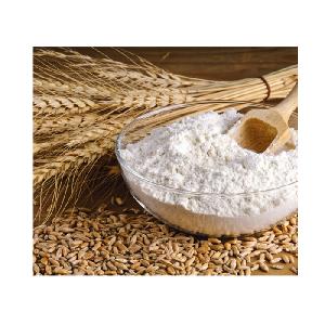 Wheat Flour Exporter In Gujarat For Filter Wheat Flour