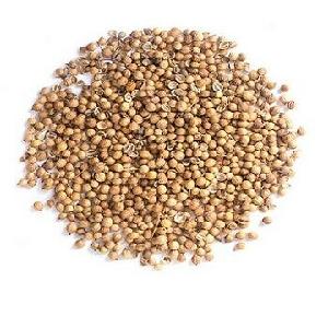 Affordable Price Animal Feed Millet Seed with Top Quality