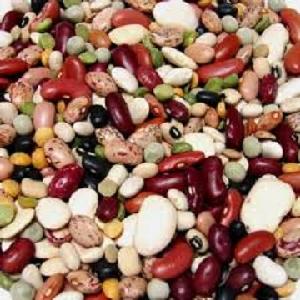 Pulses Kidney Beans, Red Lentil and Soya bean available in Bulk and best prices