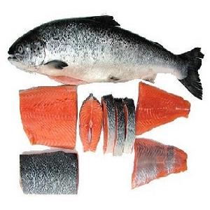 Buy Frozen Chum Salmon Fillet Fish/Certified Frozen Salmon Fish/IQF frozen fish fillet frozen pink salmon