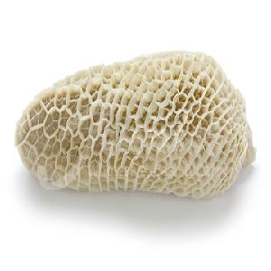 Bulk Frozen Halal Beef / Buffalo Tripe with Honeycomb Available for Importers