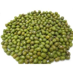 Health Fresh Origin Green  Gram  Cultivation Sprouting Green  Mung  Beans For Food Moong