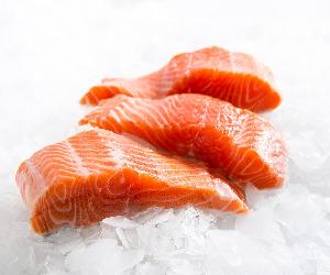 Fresh Atlantic Salmon fillet, HG Chum Salmon