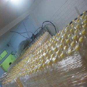  Factory  Sunflower Oil Refined Vegetable Oil Sunflower Cooking