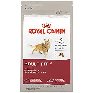 Royal Canin Fit 32 Dry Cats Foods