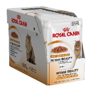Royal Canin Fit 32 Dry Cats Foods/Pet Supplies For Sale
