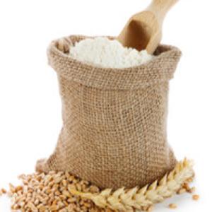 Ukraine GMO free Wholesale Multi  Flour   High  quality   Wheat   Flour 