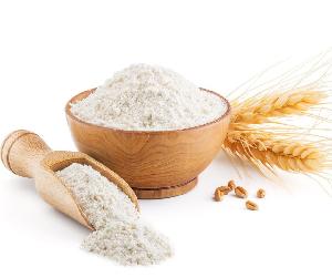 Fresh Wheat Flour Supplier - Top Quality Low Price
