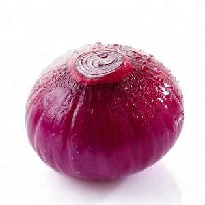 Top Selling Export Quality 70 to 90 mm Fresh Big Red Onions at Best Market Price