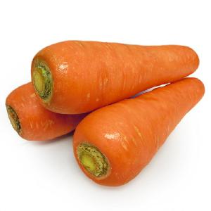 High Quality Fresh Carrot