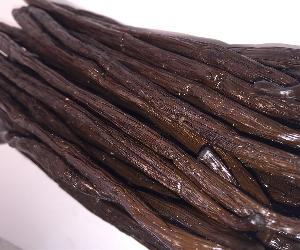 Top Quality Organic Vanilla Beans  Best Price