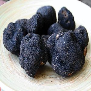 WHITE AND BLACK TRUFFLES FOR SALE