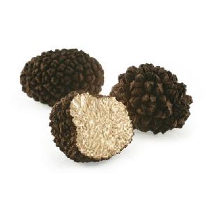 dried black   white truffle, black truffles