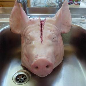QUALITY FROZEN BONELESS PORK AND FROZEN PORK FEET / PIG MEAT / HIND