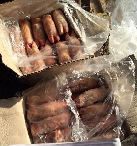 Frozen pork feet front and hind