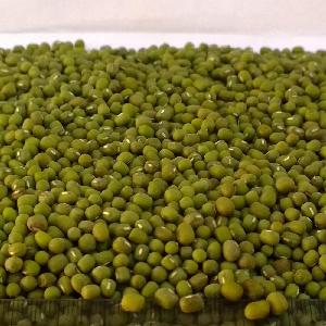 Green Mung Beans 3.25mm up Myanmar Origin