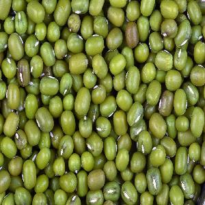Green Mung Beans (Myanmar)