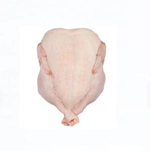frozen chicken